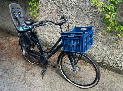 Family Bike with Child Carrier
