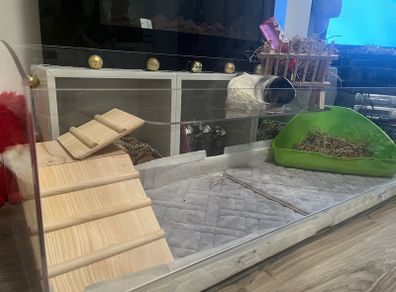 Guinea pig cage 120cm x 45cm