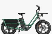 FIIDO T2 Longtail Cargo Electric Bike