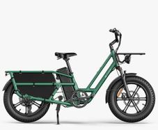 FIIDO T2 Longtail Cargo Electric Bike