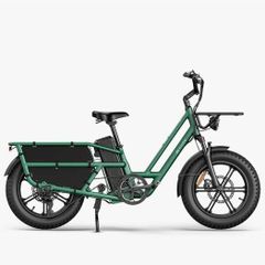 FIIDO T2 Longtail Cargo Electric Bike