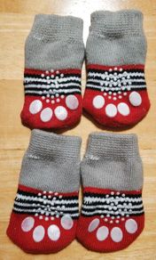 Socks for small dog