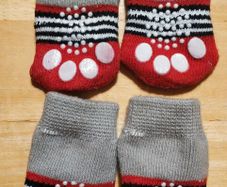 Socks for small dog