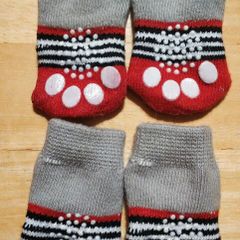 Socks for small dog