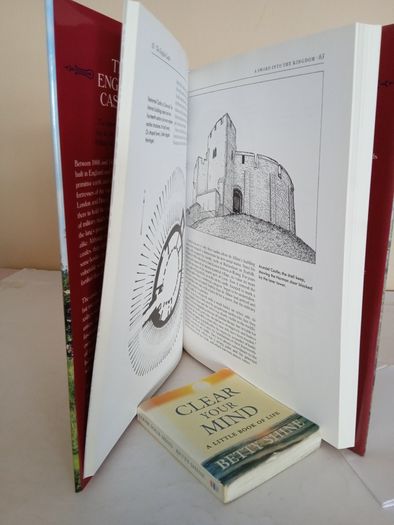The English Castle by Francois Matarasso (GT313)