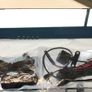 Blackbox Vehicle DVR Full HD 1080p Mirror with Two Cameras front and rear and 32 GB ram memory Image 3