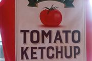 Dress Up Kids Tomato Ketchup outfit. One Size Kids.