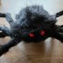 1 Large Halloween spiders Image 2