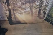 Canvas art print