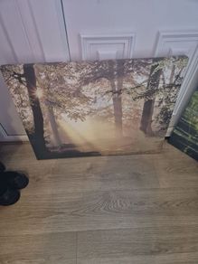 Canvas art print