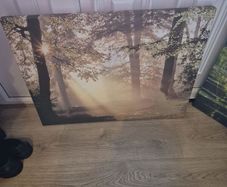 Canvas art print