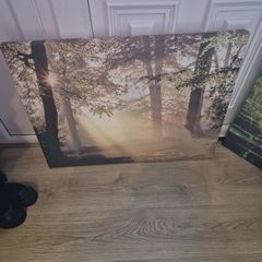 Canvas art print