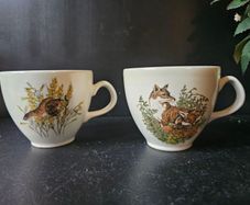 Carrigaline Cups