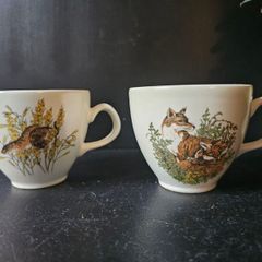 Carrigaline Cups