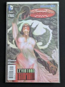 Batman Incorporated #12 Variant (DC - 2013)