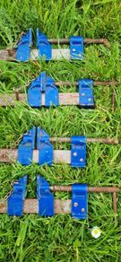 x4 Record 135 sash clamps