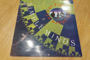 Simple Minds - Street Fighting Years - Vinyl Record