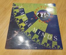Simple Minds - Street Fighting Years - Vinyl Record