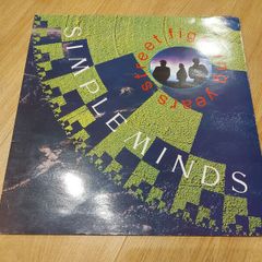 Simple Minds - Street Fighting Years - Vinyl Record