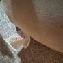 Squishmallow Image 2