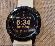 Garmin Fenix 6 X Pro