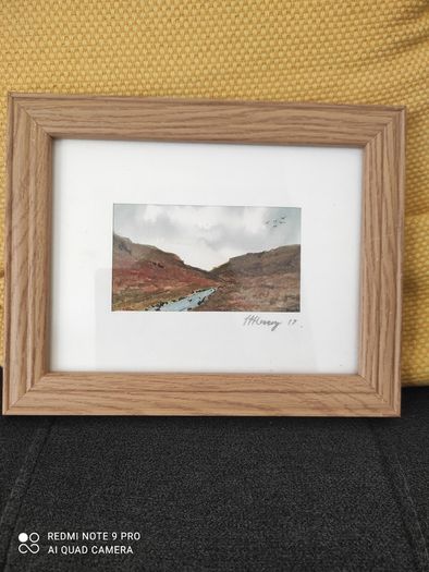 Irish artist original watercolour painting