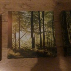 3 piece canvas wall art