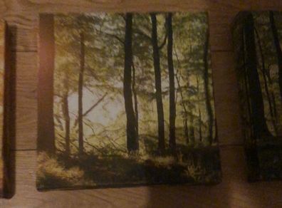 3 piece canvas wall art