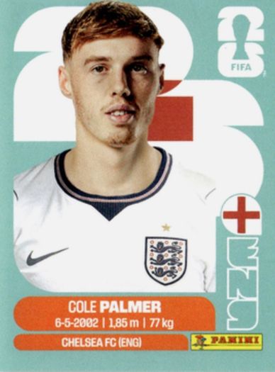 Cole palmer word cup sticker wanted