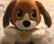 Leap Frog Speak and Learn Puppy