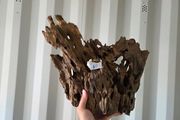 Dragon Wood Mix Sizes