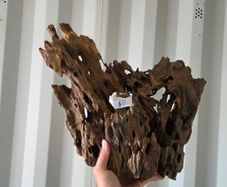 Dragon Wood Mix Sizes