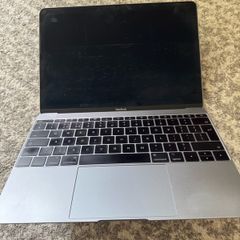 Apple MacBook Pro (Retina, 12-inch, 2017) A1534