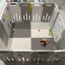 Playpen Image 2