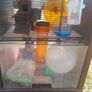 Omlet Hamster Cage Image 3