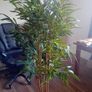 Artificial Bamboo Plant Image 2