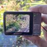 Polaroid i834 - Digital Camera Image 3