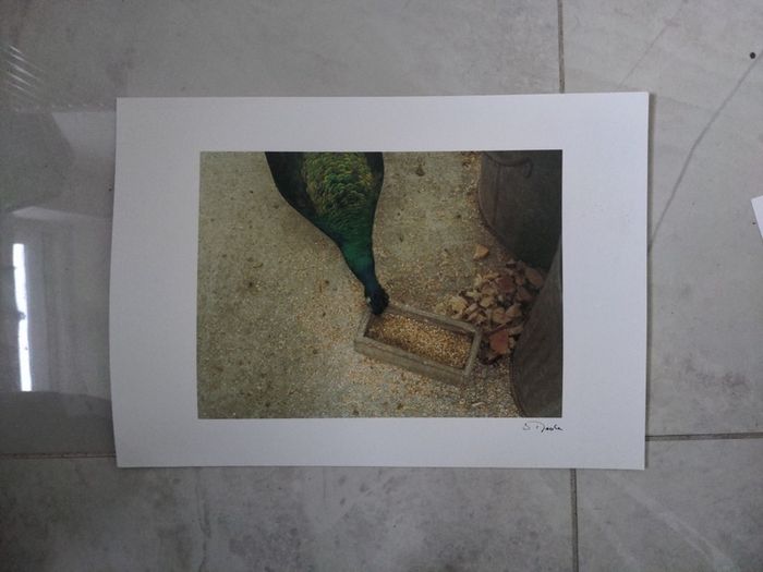 Prints