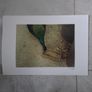 Prints Image 4