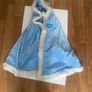 Halloween costume Elsa Image 3