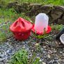 Chicken feeders and drinker Image 4