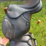 Saddles Image 2