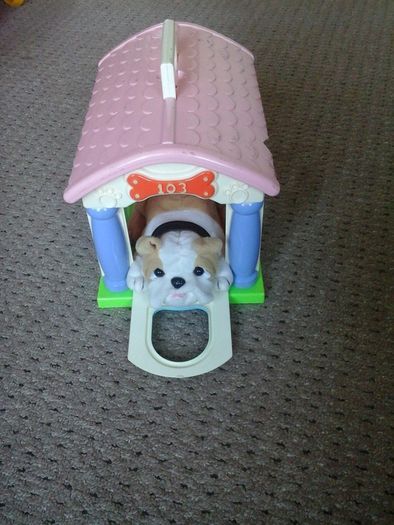 dog and kennel
