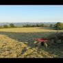 Haylage Image 2