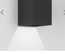 Astro Outdoor Wall Light