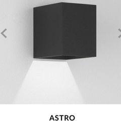 Astro Outdoor Wall Light