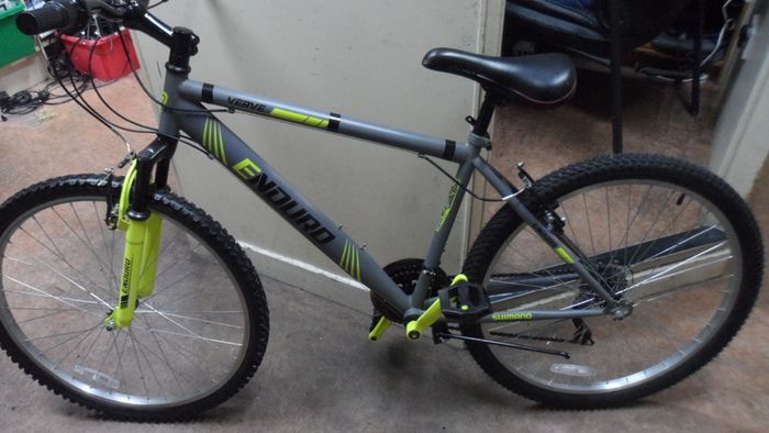 Enduro Verve Bike