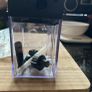 DeLonghi  nespresso coffee machine Image 3