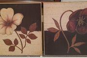 Regina Andrew Design Art