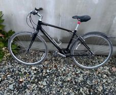 GIANT city/trekking bike